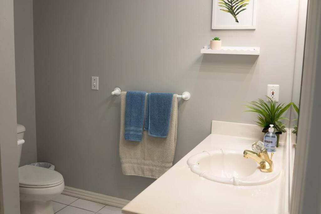 벤톤빌 Walking Distance To Coler Mtn Bike - 3Br 2Ba 빌라 외부 사진